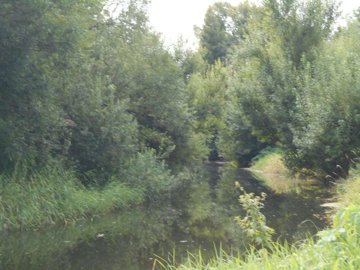 Fewo Fleckeby An Der Schlei Leilighet Eksteriør bilde