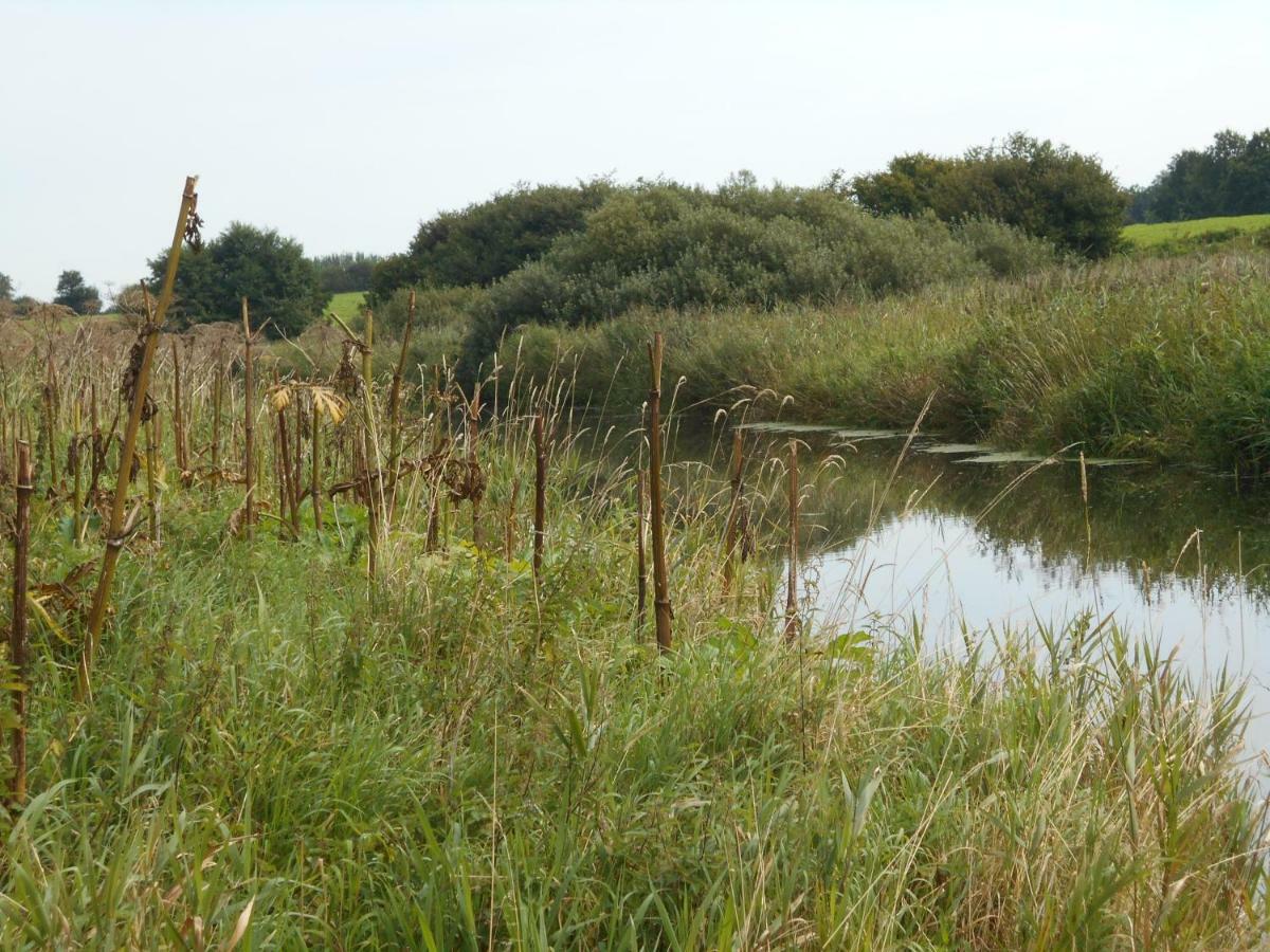 Fewo Fleckeby An Der Schlei Leilighet Eksteriør bilde